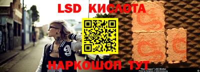 шишки Будённовск
