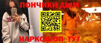 шишки Будённовск