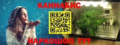 шишки Будённовск
